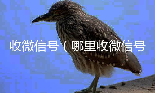 收微信号长期收购微信号（哪里收微信号）